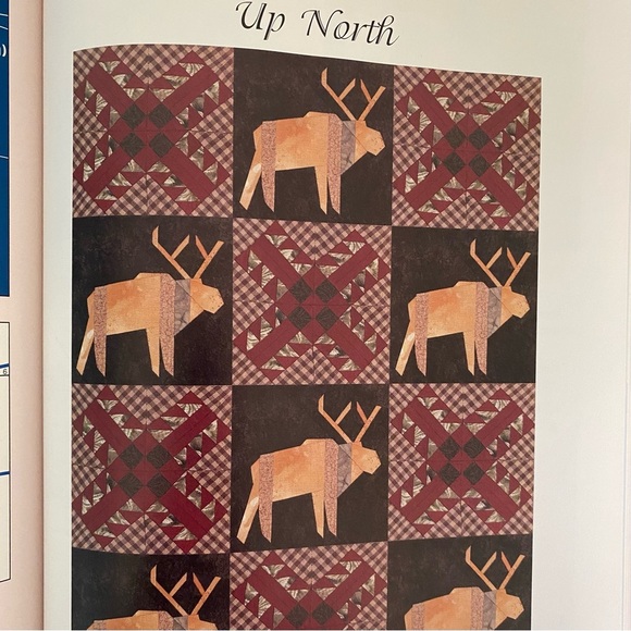 Beautiful Foundation-Pieced Quilt Blocks Book by Mary Jo Hiney - Picture 13 of 16